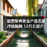 股票型养老金产品五星评级揭晓 12只五星产品名单曝光（图3）