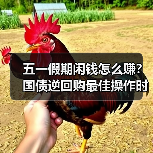 五一假期闲钱怎么赚？国债逆回购最佳操作时机来了（图3）