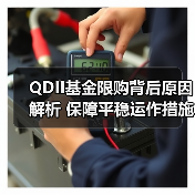 QDII基金限购背后原因解析 保障平稳运作措施有哪些？（图3）