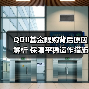 QDII基金限购背后原因解析 保障平稳运作措施有哪些？（图4）