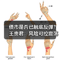 债市是否已触底反弹？王贵君：风险可控震荡格局（图3）