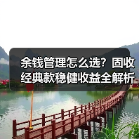 余钱管理怎么选？固收经典款稳健收益全解析（图3）