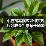 小盘宽基指数如何实现超额收益？景顺长城国证2000指数增强发行中（图3）