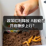政策红利释放 A股能否开启稳步上行？