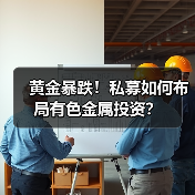 黄金暴跌！私募如何布局有色金属投资？（图3）