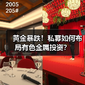 黄金暴跌！私募如何布局有色金属投资？（图4）