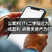公募REITs二季报近九成盈利 消费类资产为何成亮点？（图2）