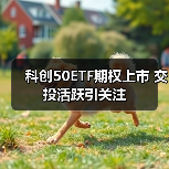 科创50ETF期权上市 交投活跃引关注（图2）