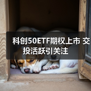 科创50ETF期权上市 交投活跃引关注