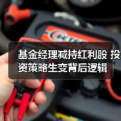 基金经理减持红利股 投资策略生变背后逻辑（图3）