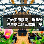 证券实用指南：选购维护与常见问题解析 | 安渡金融资讯
