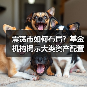 震荡市如何布局？基金机构揭示大类资产配置策略（图2）