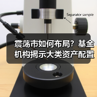 震荡市如何布局？基金机构揭示大类资产配置策略（图4）