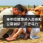 半年报披露进入高峰期 公募调研“开足马力”（图1）