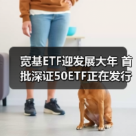 宽基ETF迎发展大年 首批深证50ETF正在发行中（图2）