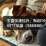 午盘快速拉升，科创100ETF华夏（588800）成交持续活跃（图1）