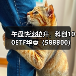 午盘快速拉升，科创100ETF华夏（588800）成交持续活跃（图4）