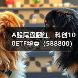 A股尾盘翻红，科创100ETF华夏（588800）蝉联成交额同类第一（图2）
