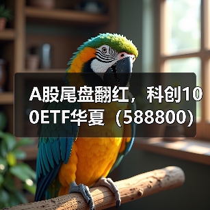 A股尾盘翻红，科创100ETF华夏（58