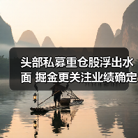 头部私募重仓股浮出水面 掘金更关注业绩确定性（图4）