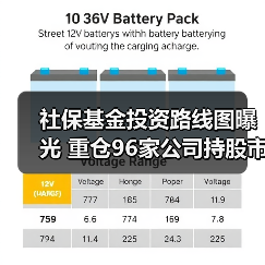 社保基金投资路线图曝光 重仓96家公司持