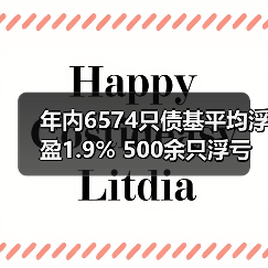 年内6574只债基平均浮盈1.9% 500余只浮亏（图4）