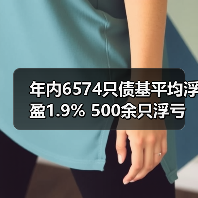 年内6574只债基平均浮盈1.9% 500余只浮亏（图3）