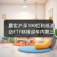 嘉实沪深300红利低波动ETF联接迎年内