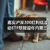 嘉实沪深300红利低波动ETF联接迎年内第三次分红（图2）