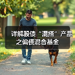 详解股债“混搭”产品之偏债混合基金（图4）