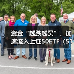 资金“越跌越买”，加速流入上证50ETF（510050）（图1）