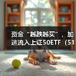 资金“越跌越买”，加速流入上证50ETF（510050）（图2）