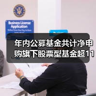 年内公募基金共计净申购旗下股票型基金超11亿元 自购额大幅领先于其他类型产品（图1）