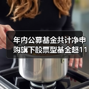 年内公募基金共计净申购旗下股票型基金超11亿元 自购额大幅领先于其他类型产品（图2）