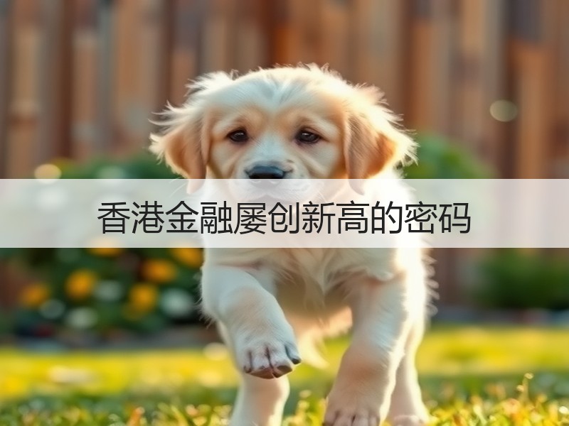 香港金融屡创新高的密码