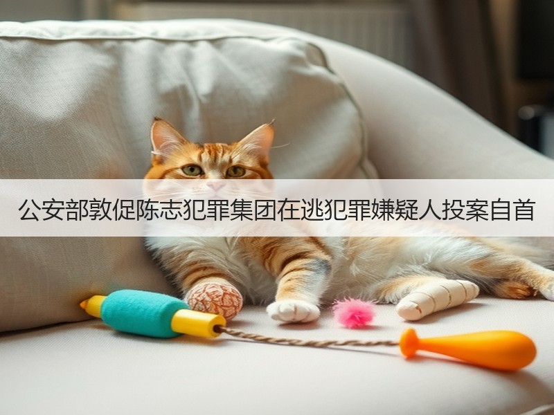 公安部敦促陈志犯罪集团在逃犯罪嫌疑人投案
