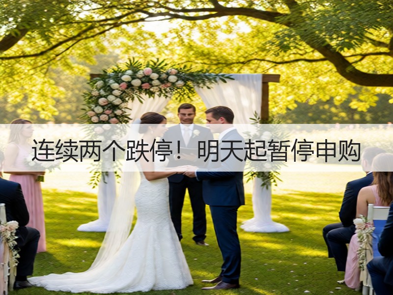 连续两个跌停！明天起暂停申购