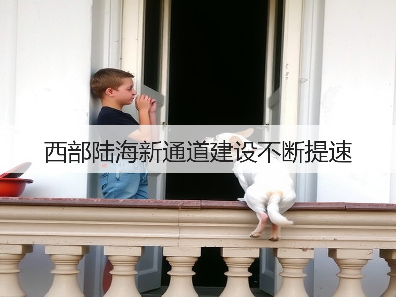 西部陆海新通道建设不断提速