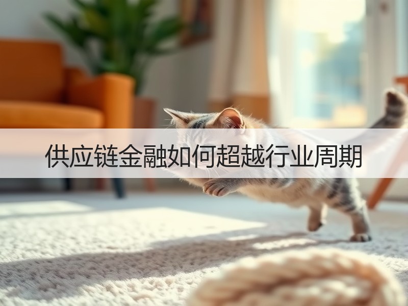 供应链金融如何超越行业周期