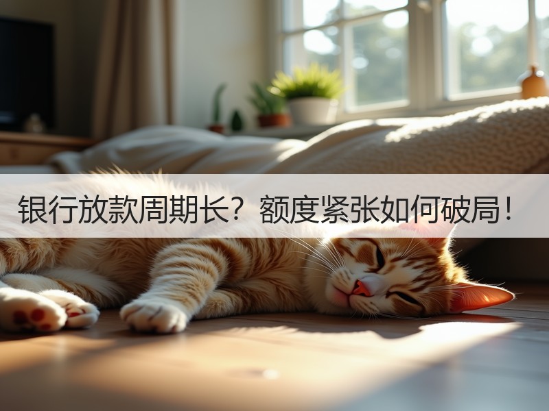 银行放款周期长？额度紧张如何破局！