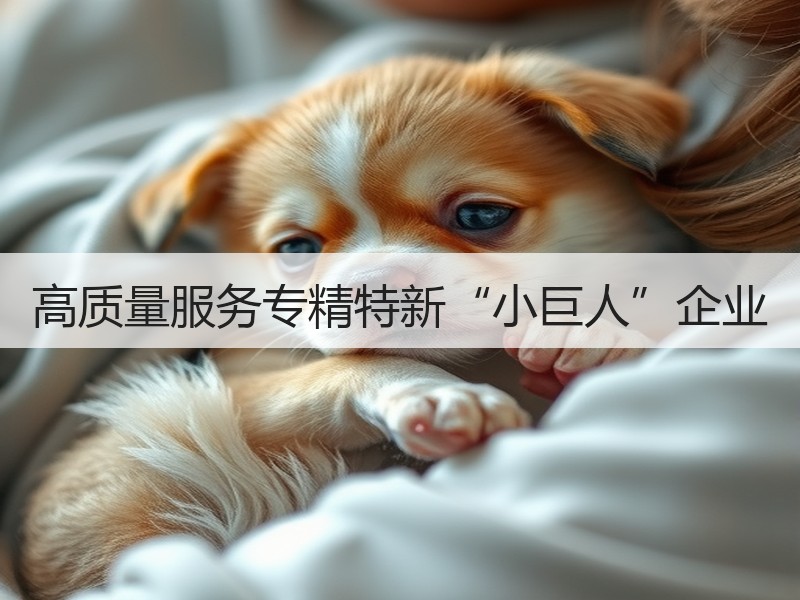 高质量服务专精特新“小巨人”企业