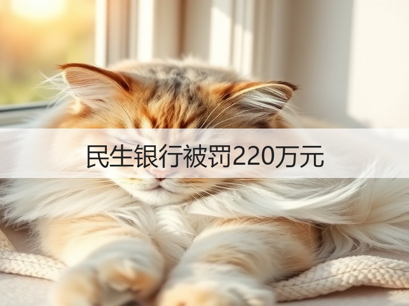民生银行被罚220万元