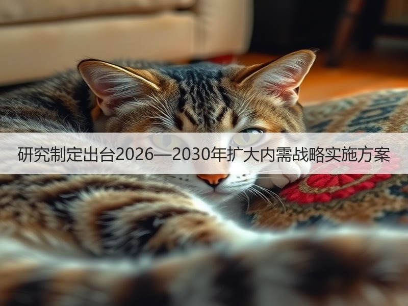 研究制定出台2026—2030年扩大内需