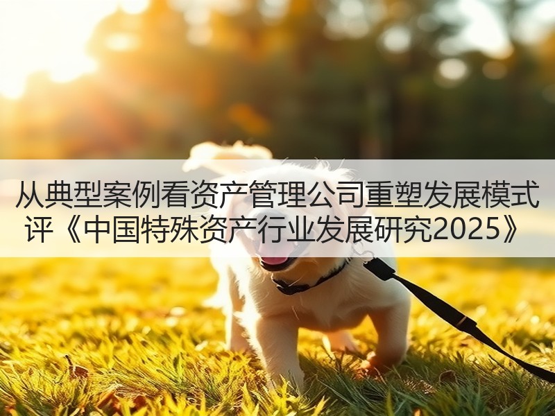 从典型案例看资产管理公司重塑发展模式 评