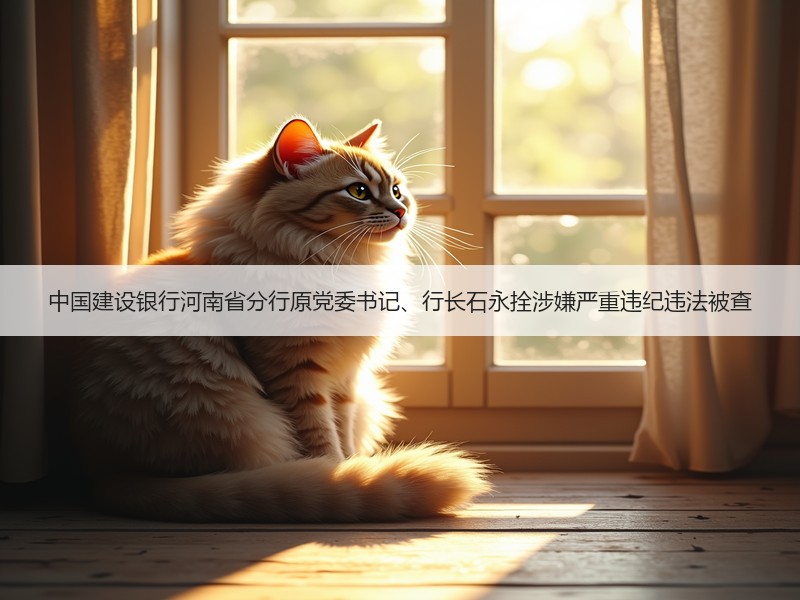 中国建设银行河南省分行原党委书记、行长石