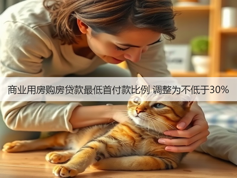 商业用房购房贷款最低首付款比例 调整为不