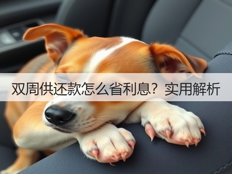 双周供还款怎么省利息？实用解析