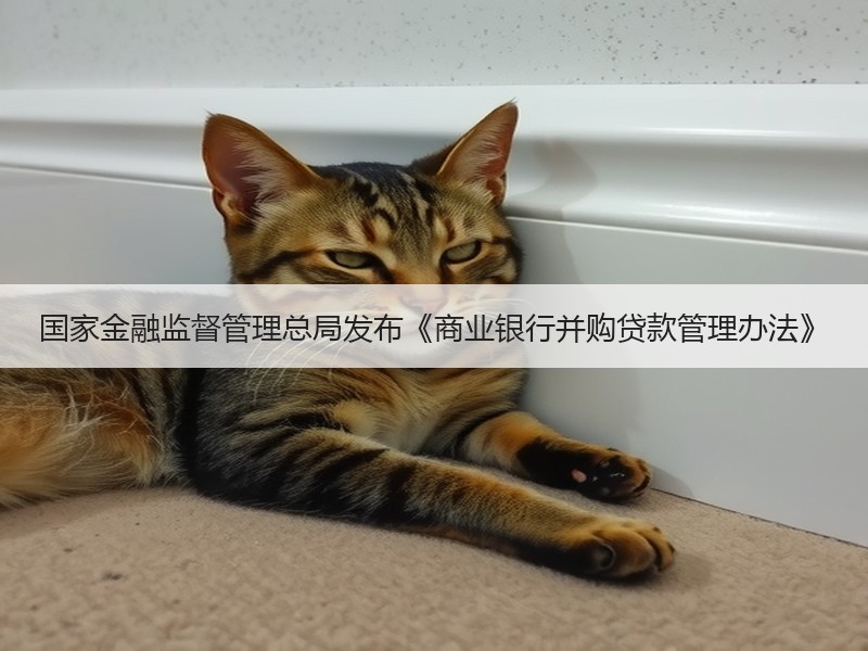 国家金融监督管理总局发布《商业银行并购贷