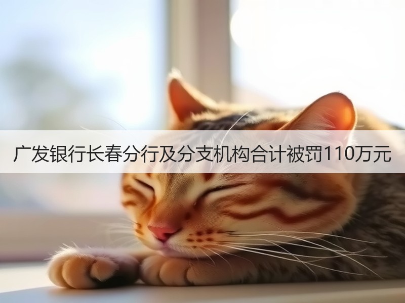 广发银行长春分行及分支机构合计被罚110