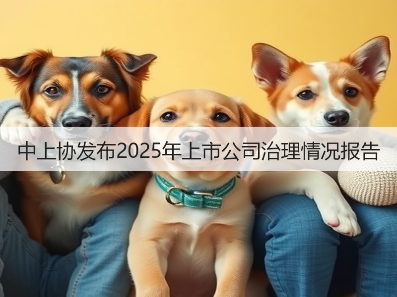 中上协发布2025年上市公司治理情况报告